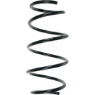 Spidan | Fahrwerksfeder | 85818