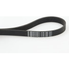 ContiTech | Keilrippenriemen | 6PK906