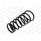 4237216 Fahrwerksfeder