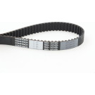 ContiTech | Zahnriemen | CT899