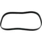 FEBI BILSTEIN 23554 Zahnriemen FEBI BILSTEIN 23554 Zahnriemen