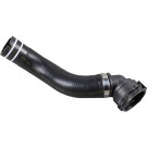 2420969 Kühlerschlauch