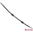 Brembo | Bremsschlauch | T 06 013