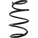 Spidan | Fahrwerksfeder | 86988