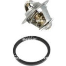 NRF | Thermostat, Kühlmittel | 725125