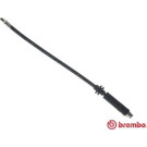 Brembo | Bremsschlauch | T 23 050