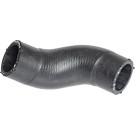 2420173 Kühlerschlauch