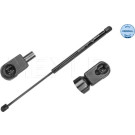 2 x MEYLE Gasfeder, Motorhaube | 140 910 0068