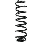 Spidan | Fahrwerksfeder | 87969