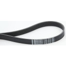 ContiTech | Keilrippenriemen | 6PK1613
