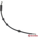 Brembo | Bremsschlauch | T 23 033