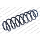 4227634 Fahrwerksfeder