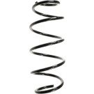 Spidan | Fahrwerksfeder | 49620
