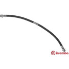 Brembo | Bremsschlauch | T 54 045