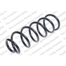 4255472 Fahrwerksfeder