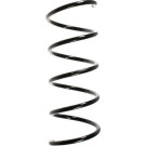 Spidan | Fahrwerksfeder | 55754
