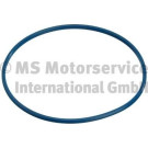 3.32038.04.0 Dichtung, Kraftstofftankverschluss