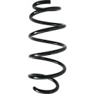 Spidan | Fahrwerksfeder | 85891