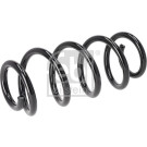 196291 Fahrwerksfeder