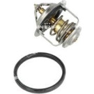 NRF | Thermostat, Kühlmittel | 725110