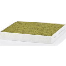 MANN-FILTER FP 23 024 Innenraumfilter Aktivkohlefilter