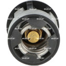 NRF | Thermostat, Kühlmittel | 725133