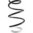 Spidan | Fahrwerksfeder | 87043