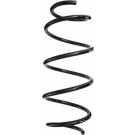 Spidan | Fahrwerksfeder | 87392