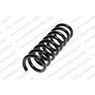 4256856 Fahrwerksfeder