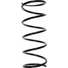 Spidan | Fahrwerksfeder | 56396