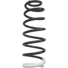 Spidan | Fahrwerksfeder | 86714