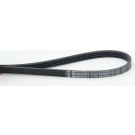 ContiTech | Keilrippenriemen | 4PK922 ELAST