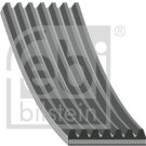 FEBI BILSTEIN 184864 Keilrippenriemen