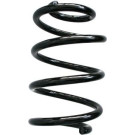 Spidan 2 x SPIDAN Fahrwerksfeder 86858