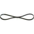 1 987 947 813 Keilrippenriemen