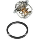 NRF | Thermostat, Kühlmittel | 725205