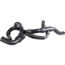 2421988 Kühlerschlauch