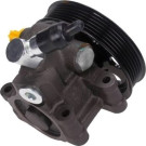 48-0096 Hydraulikpumpe, Lenkung