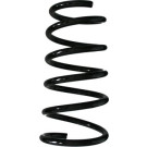 Spidan | Fahrwerksfeder | 87459