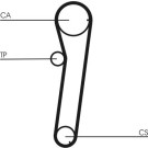 ContiTech | Zahnriemen | CT739
