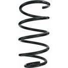 Spidan | Fahrwerksfeder | 87273