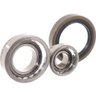 SKF | Radlagersatz | VKBA 756