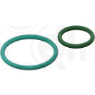 Elring | Dichtungssatz, Einspritzpumpe | 455.290
