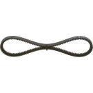 1 987 947 648 Keilriemen