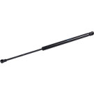 FEBI BILSTEIN 171823 Gasfeder, Koffer-/Laderaum