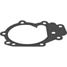 875.390 Dichtung, Wasserpumpe