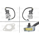 Valeo | AGR-Ventil | 700409