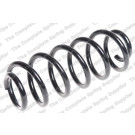 4295089 Fahrwerksfeder