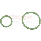 Metzger | Dichtungssatz, Einspritzpumpe | 0873069
