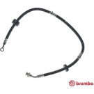 Brembo | Bremsschlauch | T 79 009